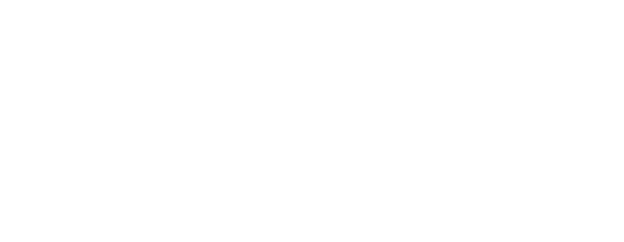 Proceso Rinks